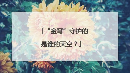 “金穹”守护的是谁的天空？